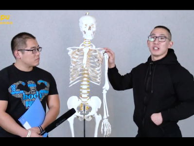 7500元付费VIP赛普健身私教专业教程，从饮食到各肌群训练，全方位把控！